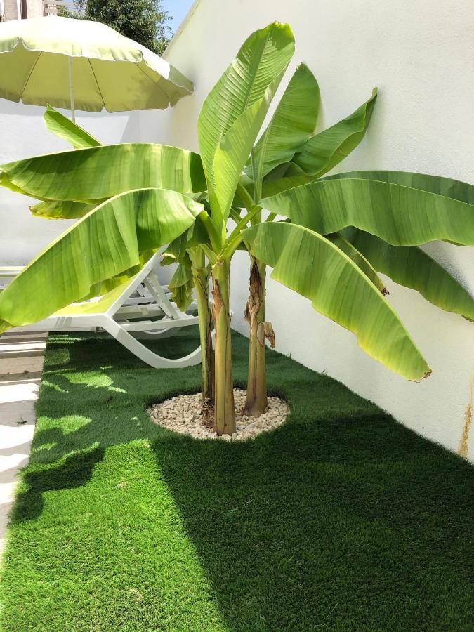 זאדאר Diklo Beach Rooms-Adults Only מראה חיצוני תמונה